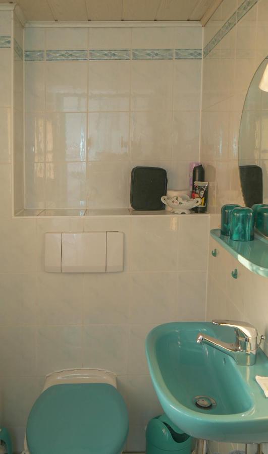 Ferienwohnung Am Elberadweg ドレスデン エクステリア 写真
