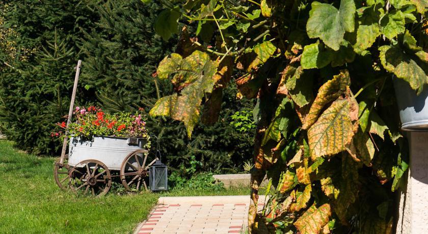 Ferienwohnung Am Elberadweg ドレスデン エクステリア 写真