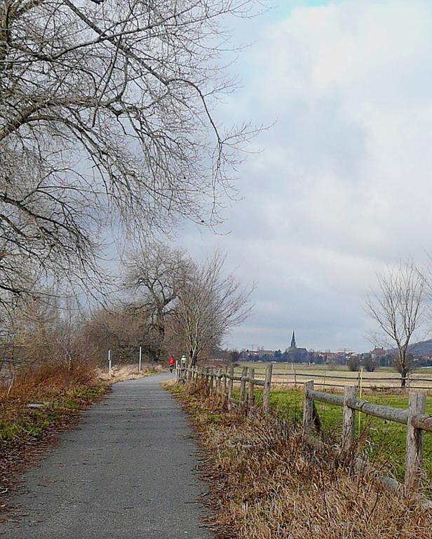 Ferienwohnung Am Elberadweg ドレスデン エクステリア 写真