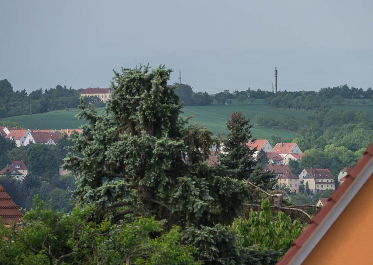 Ferienwohnung Am Elberadweg ドレスデン 部屋 写真